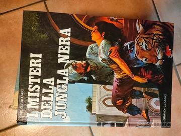 classici narrativa gioventù Ed. Accademia 