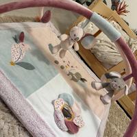 Palestrina Neonata Nattou