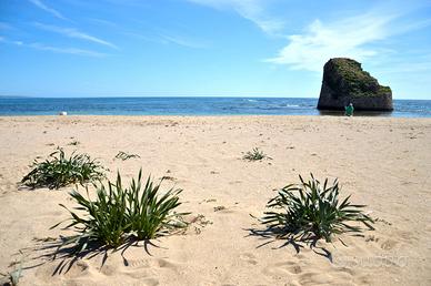 Regalati una vacanza pochi passi dal mare Dal 30/8