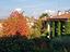 Immagine 16