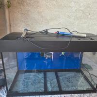 acquario 80 litri