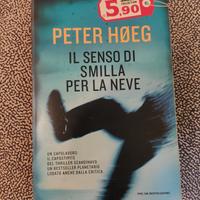 Il senso di Smilla per la neve