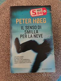 Il senso di Smilla per la neve