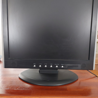 Monitor Pc Acer 17 Pollici