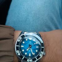 addiesdive da immersione