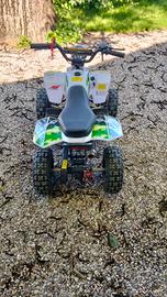 mini quad 
