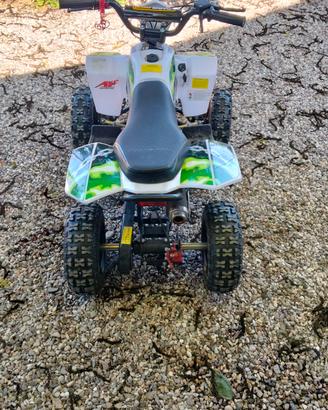 mini quad 