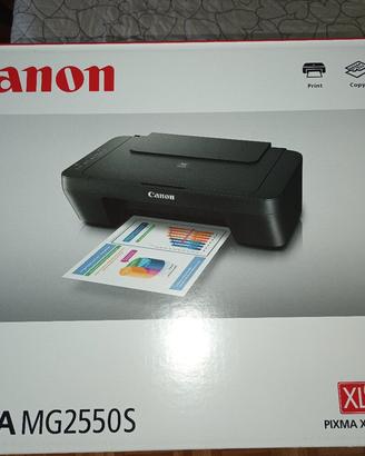 Stampante Canon Pixma MG2550S