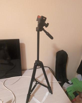 treppiedi