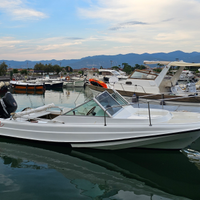 Barca Boston whaler revenge 21