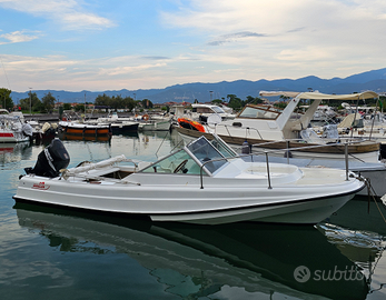 Barca Boston whaler revenge 21