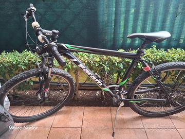 bicicletta da uomo
