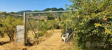 Terreno frutteto Salerno