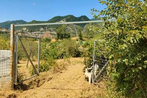 Terreno frutteto Salerno
