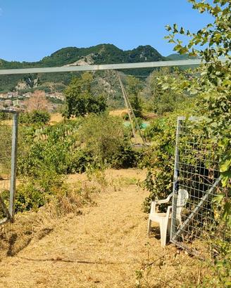 Terreno frutteto Salerno