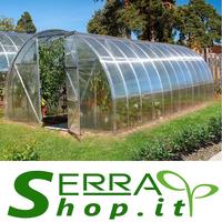 Serra tunnel policarbonato 6x3 giardino orto bio