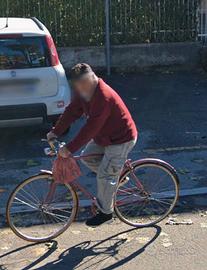BICI TAURUS