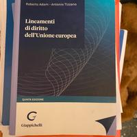 Diritto dell’Unione Europea,  Giappichelli, V ediz