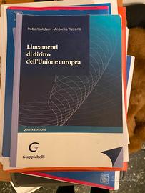 Diritto dell’Unione Europea,  Giappichelli, V ediz