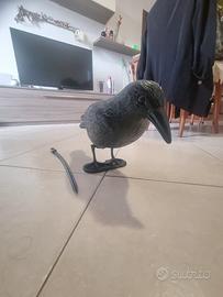 Corvo scaccia piccioni