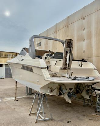 Wellcraft 34