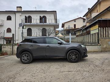 Peugeot 2008 II 2020 1.5 bluehdi Active s&s 100cv
