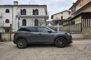 Peugeot 2008 II 2020 1.5 bluehdi Active s&s 100cv
