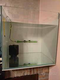 acquario 