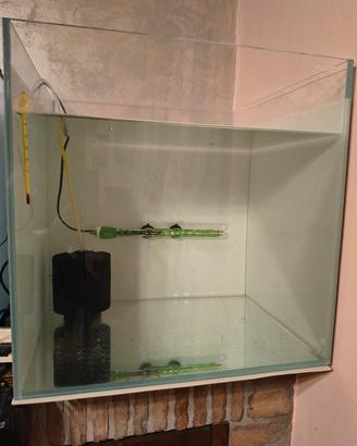 acquario 