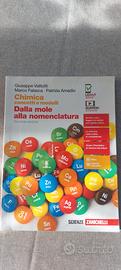 chimica concetti e modelli 