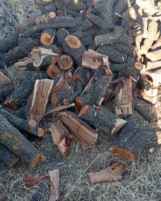 legna da camino 