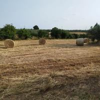 Terreno agricolo