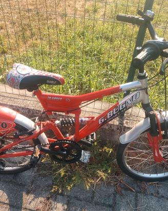 Bicicletta da bambino