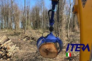 Pinza Legna Tronchi Pietre IPL1100PRO