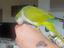 Immagine 3