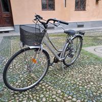 Bicicletta a Torino