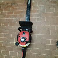 tagliasiepi  a scoppio 