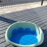 cuccia cane piccola taglia 