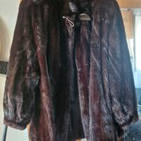 pelliccia visone maschio