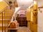 Immagine 13
