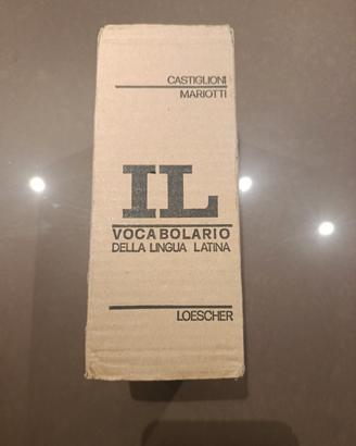 dizionario 