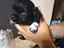 Immagine 4