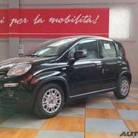 FIAT Panda 1.0 FireFly S&S Hybrid Pop PANDINA