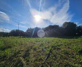 TER. AGRICOLO A QUARTUCCIU