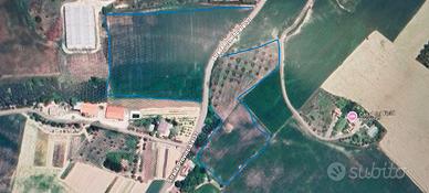Terreno per fotovoltaico francavilla d'ete,vendita