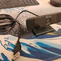 Webcam Trust GXT1160 