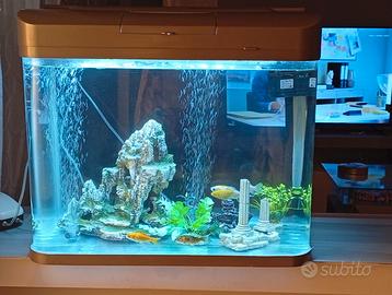 Acquario