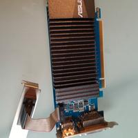 Scheda Video ASUS NVIDIA GeForce GT 710 1GB Low Pr