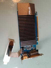 Scheda Video ASUS NVIDIA GeForce GT 710 1GB Low Pr