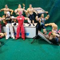 action figure wrestling
